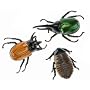 Discovery Exclusive Radio Control Arthropods