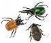 Discovery Exclusive Radio Control Arthropods
