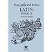 So You Really Want to Learn Latin Book II Answer Book