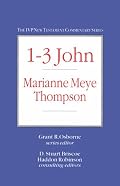 1-3 John (IVP New Testament Commentary Series)