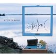 Peter Mulvey - Kitchen Radio