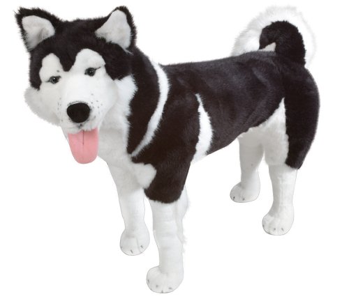 Melissa & Doug Deluxe Plush Husky under Dogs in The Toys Store