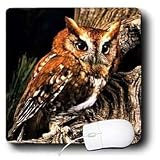 Birds - Owl - Mouse Pads