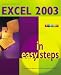 Excel 2003 in Easy Steps