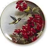 Wild Wings Songbird Plates - Hummingbird in Granium - B0006U381M