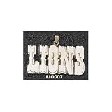 Detroit Lions 