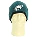 Philadelphia Eagles Gray Tip Winter Knit Beanie - Green