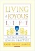 Living a Joyous Life: The True Spirit of Jewish Practice
