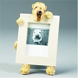 41SQi05piOL. SL160  Soft Coated Wheaten Terrier Dog Picture Frame 2 1/2 X 3 1/2