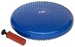 JFit Fit Disc