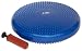 JFit Fit Disc