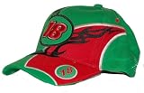 #18 BOBBY LEBONTE NASCAR TEAM COLOR HAT