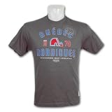 Quebec Nordiques Vintage Established Jersey T-Shirt