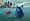 Finding Nemo (2 Disc Collector's Edition) [2003]