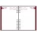 Brownline CB389CRED CoilPro Daily Planner, Ruled 1 Day/Page, 8-1/4 x 5-3/4, Red, 2016