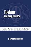 Joshua : crossing divides