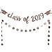 Rose Gold Glittery Class Of 2019 Graduation Cap Banner and Rose Gold Circle Dots Garland,Graduation or Grad Party Decoration Supplies