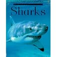 Sharks (Discovery Program)