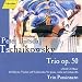 Tchaikovsky: Piano Trio in A Minor, Op. 50 / Trio Passionato Image of Tchaikovsky: Piano Trio in A Minor, Op. 50 / Trio Passionato