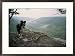 A border collie stands on the bluff at Ravens Point, Tennessee Framed Art Print by Stephen Alvarez, 29