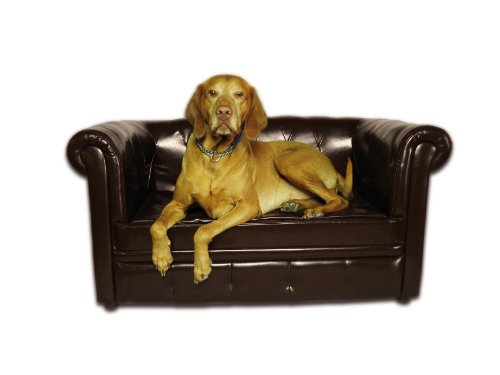Nobby 70180-86 Hundesofa "Chesterfield" L: 109 cm, B: 57 cm, H: 55 cm, braun gl&auml;nzend