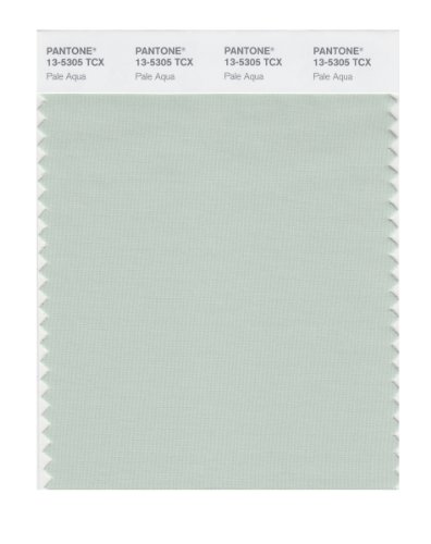 PANTONE SMART 13-5305X Color Swatch Card, Pale Aqua