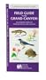 Field Guide to the Grand Canyon: An Introduction to Familiar Plants and Animals (Ecotourism: Parks & Sanctuaries Guides)