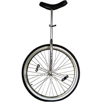 Sun 26 Chrome Unicycle