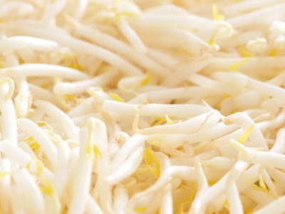 Oishiina Shop　もやし〈モヤシ〉 1ケース　4Kgから5Kg前後　20パック前後