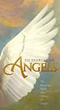 In Search of Angels [VHS]