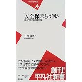 安全保障とは何か―脱・幻想の危機管理論 (平凡社新書 (004))
