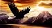 Airbrushed License Plate - Eagle in Flight License Plate - #719