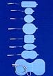 Perfect Stims 1.75" Round Electrodes ONLY $2.79/pack - Self-Adhering Reusable TENS - NMS - IFC - 5 Packs of 4 Total 20 Electrodes