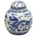 6" Dragon Tea Canister Decorative Box in Blue and White