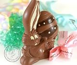 Egg, Milk, Nut , Gluten Free Chocolate Easter Bunny holding Egg