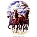 Appaloosa & Quarter Horse Women's T-Shirt : On The Beach