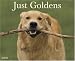 Just Goldens 2008 Calendar (Just)
