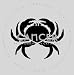 Books : Cancer (Astrology)