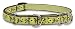Martingale Dog Collars 41SRm3wQ0tL. SL75 Martingale Dog Collars