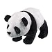 Panda 8