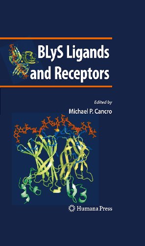 BLyS Ligands and Receptors (Contemporary Immunology)