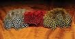 Hareline: Strung Guinea Feathers