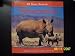 Rhinoceroses by Justine Ciovacco ISBN 1599391228