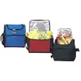 Ensign Peak Deluxe Insulated Lunch Cooler