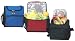 Ensign Peak Deluxe Insulated Lunch Cooler