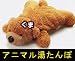 可愛いクマさん「アニマル湯たんぽ（クマ）」湯たんぽにかわいいぬいぐるみのカバーが付きました。