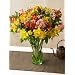 Alstromeria Peruvian Lilies