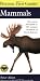 Peterson First Guide to Mammals of North America (Peterson First Guides (R))