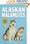 Alaskan Malamute
