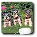 schnauzer8  - Dogs Schnauzer Schnauzer Mouse Pads